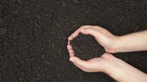 Composting massively reduces greenhouse gas emissions compared to landfill