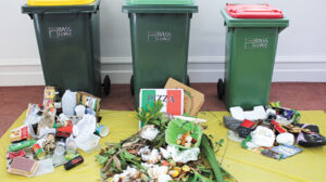 3 bin systems  –  the new waste reform front