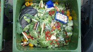 Commercial Organics Recycling- success is a long way away