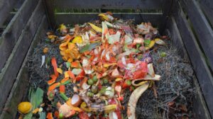 Where to with food waste