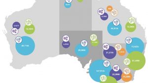 Key points on COAG export bans