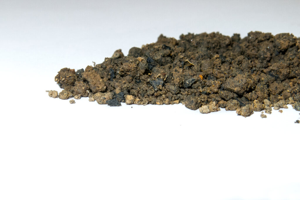 Biochar is a carbon rich product of biomass pyrolysis that can be a valuable soil additive and a carbon sink with a high sorption potential towards a wide variety of contaminants. The influence of ageing processes on biochar properties are still subject of intense research. To investigate the effect of ageing on biochar properties, in October 2015 soil samples were collected at an agricultural field site that was treated with Biochar in March 2011. The black particles in the soil are biochar.