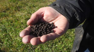 Compost Pellets Down the Tube