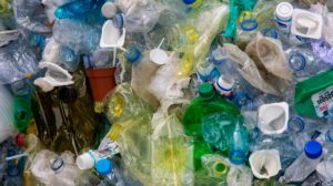 Plastics export ban imminent