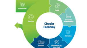 A day in the life of a Circular Economy consultant