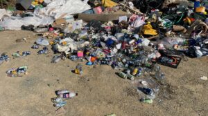 What should the Container Deposit System rebate be worth?