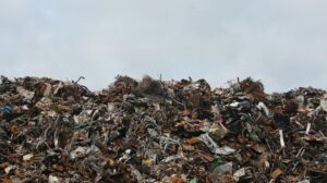 The State of Waste in 2024