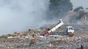 The Pacific Nations need our help