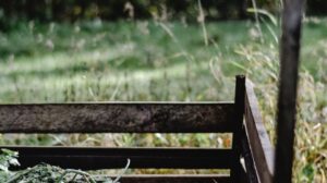 ♻️ Grant opportunity: SEQ City Deal Organics Processing Program♻️